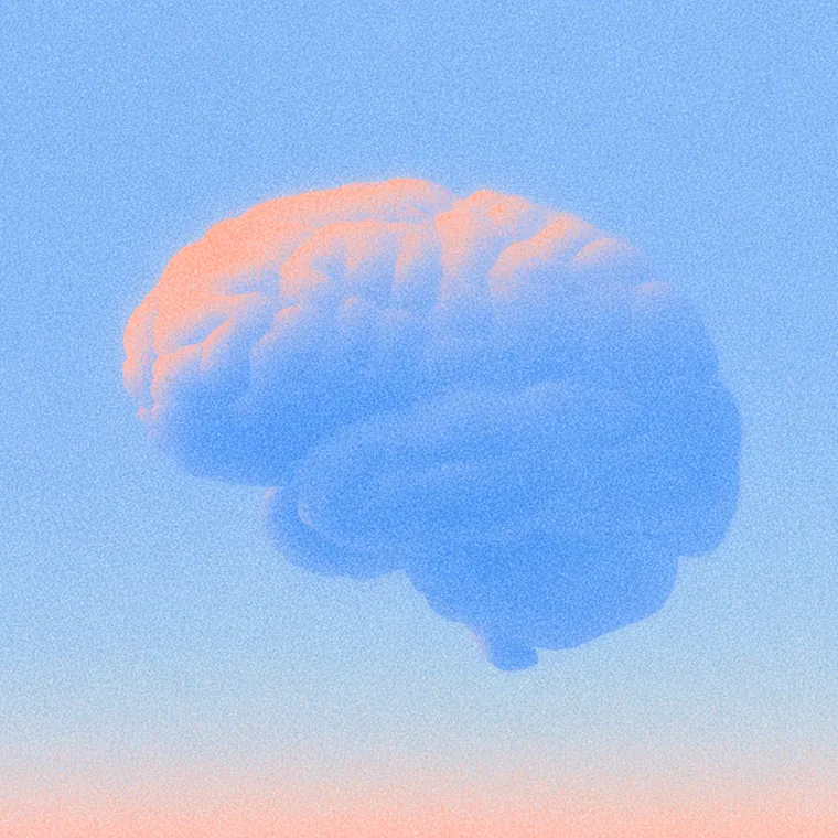 Brain representing a system you own